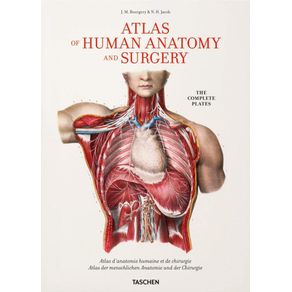 Bourgery: Atlas Of Human Anatomy And Surgery (Fp,Int)