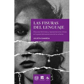 Las fisuras del lenguaje. Discursos feministas y representaciones críticas en la poesía latinoamericana de los ochenta